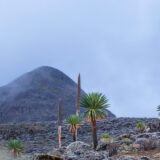 https://visitoromia.org/arabic/wp-content/uploads/2018/09/Bale-National-Park-01-160x160.jpg
