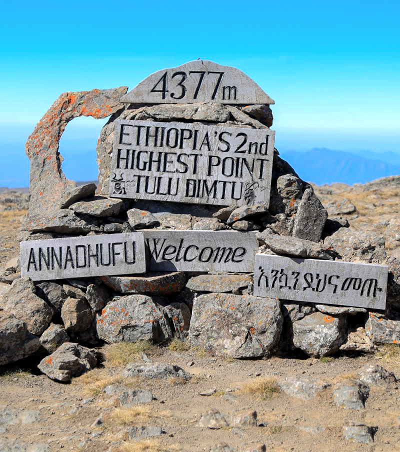 bale mount 01