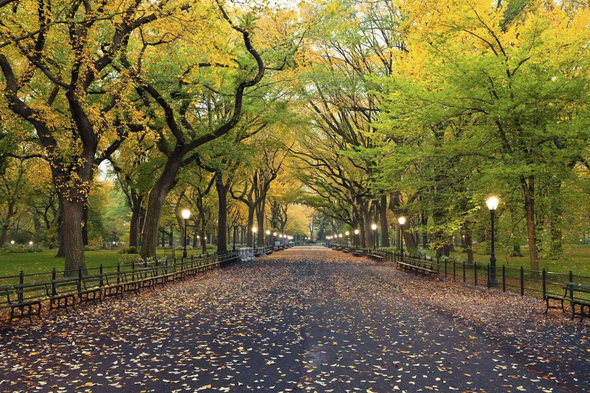 https://visitoromia.org/arabic/wp-content/uploads/2018/09/destination-new-york-02.jpg