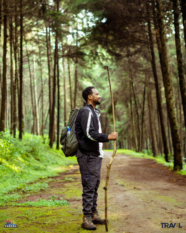 ???????????????????????? ???????????????????????????????????????? ????????????????????????????! Brilliant shades of natural green delight the senses at the Lephis Ecotourism village! ???? Abenezer Yonas  Travel 251 & Cabana Travel & Events  #visitOromia #landofdiversebeauty #LandOfOrigins #Ethiopia #ecotourism #forest #diverse #hiking #hikingadventures #Oromia
